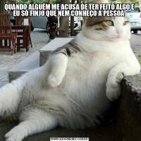 QUANDO ALGUÉM ME ACUSA DE TER FEITO ALGO E EU SÓ FINJO QUE NEM CONHEÇO A PESSOA 
