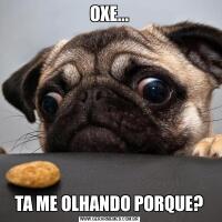 OXE...TA ME OLHANDO PORQUE?