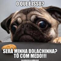O QUE É ISSO?SERÁ MINHA BOLACHINHA? TÔ COM MEDO!!!