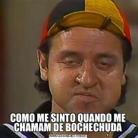 COMO ME SINTO QUANDO ME CHAMAM DE BOCHECHUDA