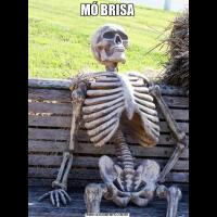 MÓ BRISA