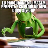 EU PROCURANDO A IMAGEM PERFEITA PRA PEDIR NO MEU COPO STZ CUP