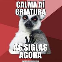 CALMA AÍ CRIATURAAS SIGLAS AGORA