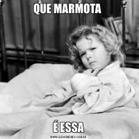 QUE MARMOTA É ESSA