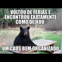 VOLTOU DE FÉRIAS E ENCONTROU EXATAMENTE COMO DEIXOU:UM CAOS BEM ORGANIZADO