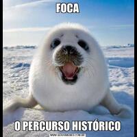 FOCAO PERCURSO HISTÓRICO