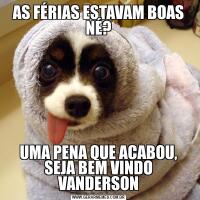 AS FÉRIAS ESTAVAM BOAS NÉ?UMA PENA QUE ACABOU, SEJA BEM VINDO VANDERSON