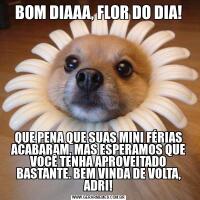 BOM DIAAA, FLOR DO DIA!QUE PENA QUE SUAS MINI FÉRIAS ACABARAM, MAS ESPERAMOS QUE VOCÊ TENHA APROVEITADO BASTANTE. BEM VINDA DE VOLTA, ADRI!