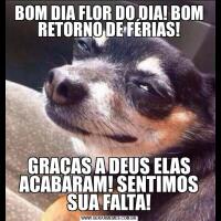 BOM DIA FLOR DO DIA! BOM RETORNO DE FÉRIAS!GRAÇAS A DEUS ELAS ACABARAM! SENTIMOS SUA FALTA!