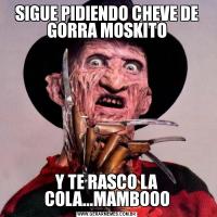 SIGUE PIDIENDO CHEVE DE GORRA MOSKITOY TE RASCO LA COLA...MAMBOOO