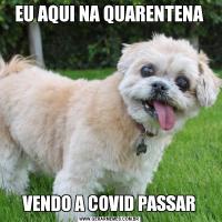 EU AQUI NA QUARENTENAVENDO A COVID PASSAR