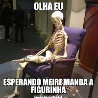 OLHA EUESPERANDO MEIRE MANDA A FIGURINHA
