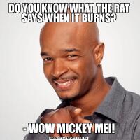 DO YOU KNOW WHAT THE RAT SAYS WHEN IT BURNS?- WOW MICKEY MEI!