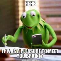 HEHEIT WAS A PLEASURE TO MEET YOU BRAINLY