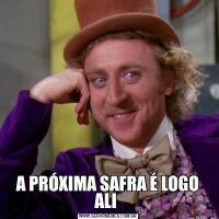 A PRÓXIMA SAFRA É LOGO ALI 