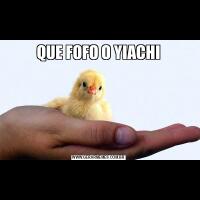 QUE FOFO O YIACHI