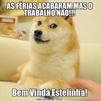 AS FÉRIAS ACABARAM MAS O TRABALHO NÃO!!!Bem Vinda Estelinha!