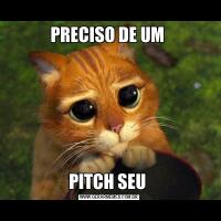 PRECISO DE UM PITCH SEU 