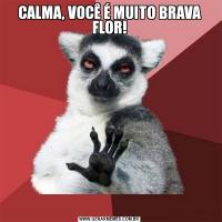 CALMA, VOCÊ É MUITO BRAVA FLOR!