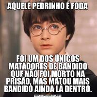AQUELE PEDRINHO É FODAFOI UM DOS ÚNICOS MATADORES DE BANDIDO QUE NÃO FOI MORTO NA PRISÃO, MAS MATOU MAIS BANDIDO AINDA LÁ DENTRO.