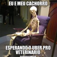EU E MEU CACHORROESPERANDO O UBER PRO VETERINARIO