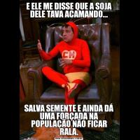 E ELE ME DISSE QUE A SOJA DELE TAVA ACAMANDO...SALVA SEMENTE E AINDA DÁ UMA FORÇADA NA POPULAÇÃO NÃO FICAR RALA.