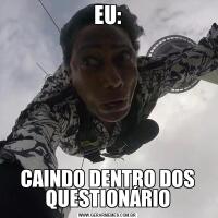EU:CAINDO DENTRO DOS QUESTIONÁRIO