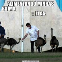 ALIMENTANDO MINHAS PRIMA                                                                  :  ELAS