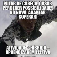 PULAR DE CABEÇA, OUSAR, PERCEBER POSSIBILIDADES NO NOVO, ADAPTAR, SUPERAR!ATIVIDADE + HÍBRIDO = APRENDIZAGEM EFETIVA