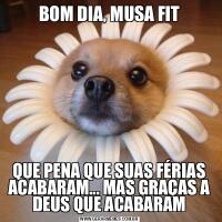 BOM DIA, MUSA FITQUE PENA QUE SUAS FÉRIAS ACABARAM... MAS GRAÇAS A DEUS QUE ACABARAM