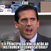 EIIIIE O PRINCÍPIO DA VINCULAÇÃO AO INSTRUMENTO CONVOCATÓRIO?