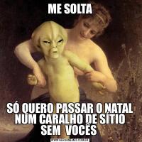 ME SOLTASÓ QUERO PASSAR O NATAL NUM CARALHO DE SÍTIO SEM  VOCÊS 