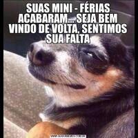 SUAS MINI - FÉRIAS ACABARAM... SEJA BEM VINDO DE VOLTA, SENTIMOS SUA FALTA