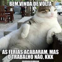 BEM VINDA DE VOLTAAS FÉRIAS ACABARAM, MAS O TRABALHO NÃO, KKK