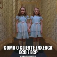 COMO O CLIENTE ENXERGA ECD E ECF