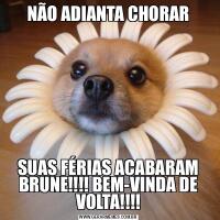 NÃO ADIANTA CHORARSUAS FÉRIAS ACABARAM BRUNE!!!! BEM-VINDA DE VOLTA!!!!