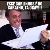 ESSE CARLINHOS É DO CARALHO, TÁ OKAY!!!
