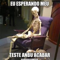 EU ESPERANDO MEUTESTE ANBU ACABAR