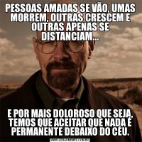 PESSOAS AMADAS SE VÃO, UMAS MORREM, OUTRAS CRESCEM E OUTRAS APENAS SE DISTANCIAM...E POR MAIS DOLOROSO QUE SEJA, TEMOS QUE ACEITAR QUE NADA É PERMANENTE DEBAIXO DO CÉU.
