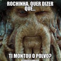 ROCHINHA, QUER DIZER QUE...TI MONTOU O POLVO?