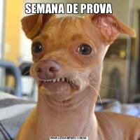 SEMANA DE PROVA