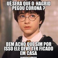 UÉ,SERÁ QUE O  HAGRID PEGOU CORONA ?BEM ACHO QUE SIM POR ISSO ELE DEVE TER FICADO EM CASA