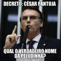 DECRETO: CÉSAR PANTOJA QUAL O VERDADEIRO NOME DA PELUDINHA?