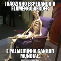 JOÃOZINHO ESPERANDO O FLAMENGO PERDERE PALMEIRINHA GANHAR MUNDIAL.
