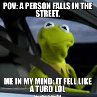 POV: A PERSON FALLS IN THE STREET.ME IN MY MIND: IT FELL LIKE A TURD LOL