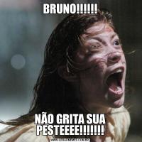 BRUNO!!!!!!NÃO GRITA SUA PESTEEEE!!!!!!!