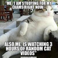 &QUOT;ME: 'I AM STUDYING FOR MY EXAMS RIGHT NOW.'ALSO ME: IS WATCHING 3 HOURS OF RANDOM CAT VIDEOS&QUOT;