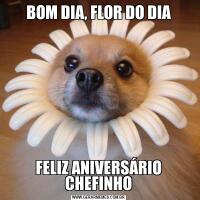 BOM DIA, FLOR DO DIAFELIZ ANIVERSÁRIO CHEFINHO