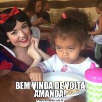 BEM VINDA DE VOLTA AMANDA!