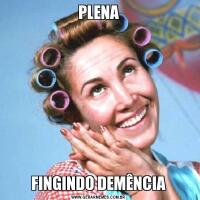 PLENAFINGINDO DEMÊNCIA